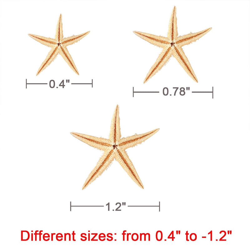 Ogrmar Small Starfish Star Sea Shell Beach Craft 0.4"-1.2" 90 Pcs - NewNest Australia