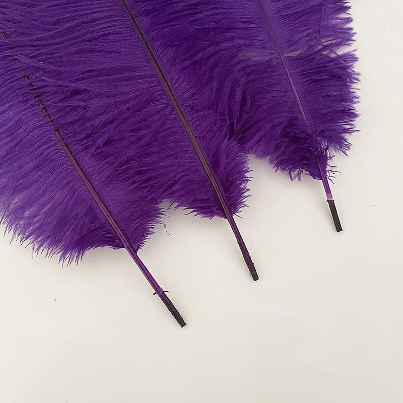 10pcs Natural Ostrich Feathers Plumes 14-16inch(35-40cm) for Craft Flower Arrangement ，Wedding Decoration and Halloween Party (Purple) purple - NewNest Australia