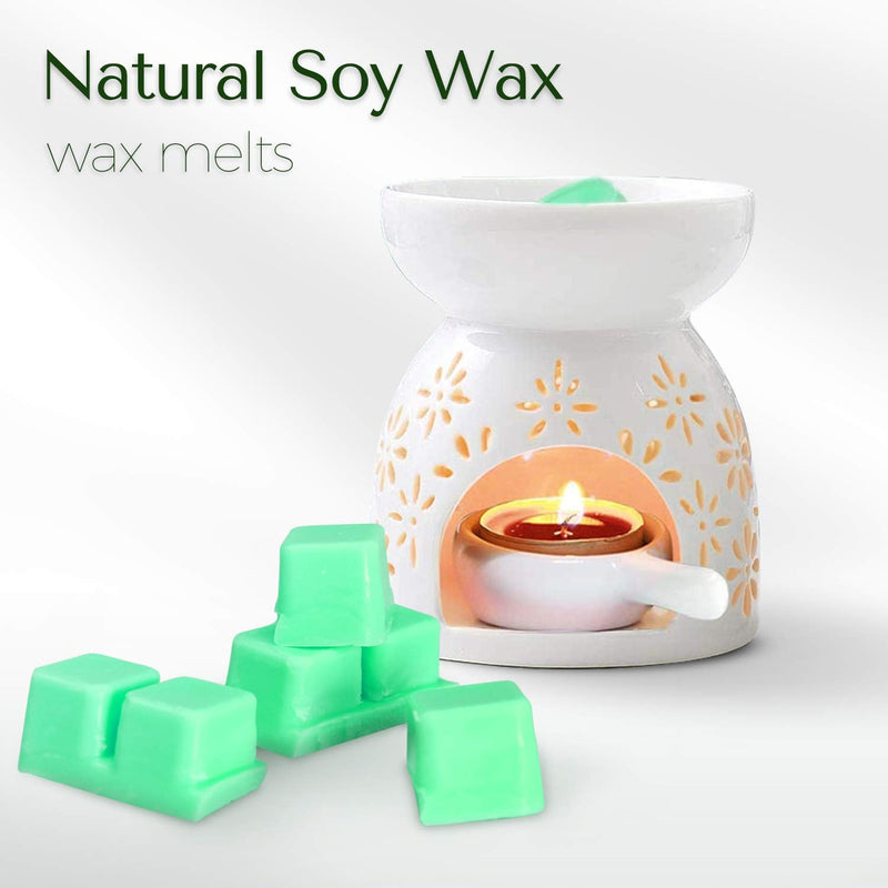 SCENTORINI Wax Melts, Wax Cubes, Soy Wax Cubes for Wax Warmer, Ocean Breeze, Fresh Linen, Bohemia Forest, Winds in Summer, 4 x 2.5oz Cyan&yellow&blue&green 4 x 2.5 oz - NewNest Australia