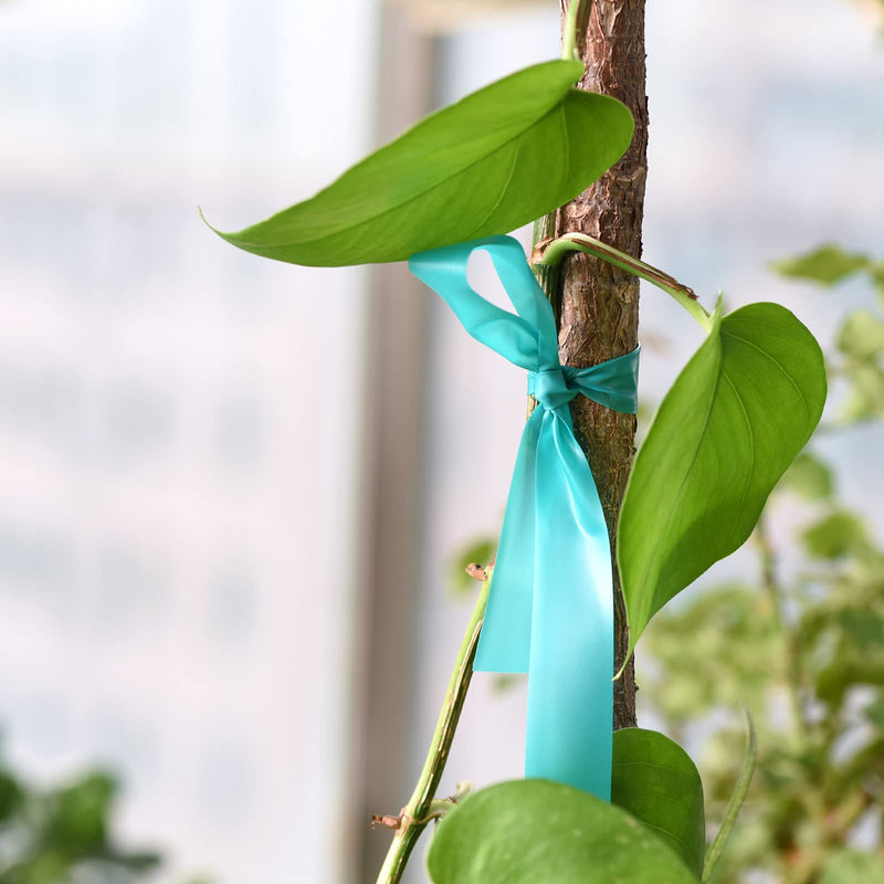 TELENT OUTDOORS Stretch Tie Tape, 1” Wide 200FT Reusable Garden Plant Ties Green Tapes for Plants, Thick Garden Vinyl Stake Ribbon for Branches Flowers Tomatoes Indoor Outdoor Greenhouse - NewNest Australia