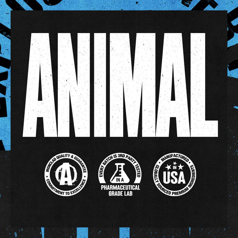 Universal Nutrition Animal Creatine Chews (Fruit Punch) Contains 5 G Easily Absorbent Creatine Monohydrate & Sea Salt For Absorption & Pump, Increases Training Capacity Of The Body, 120 Chewable Tablets - NewNest Australia