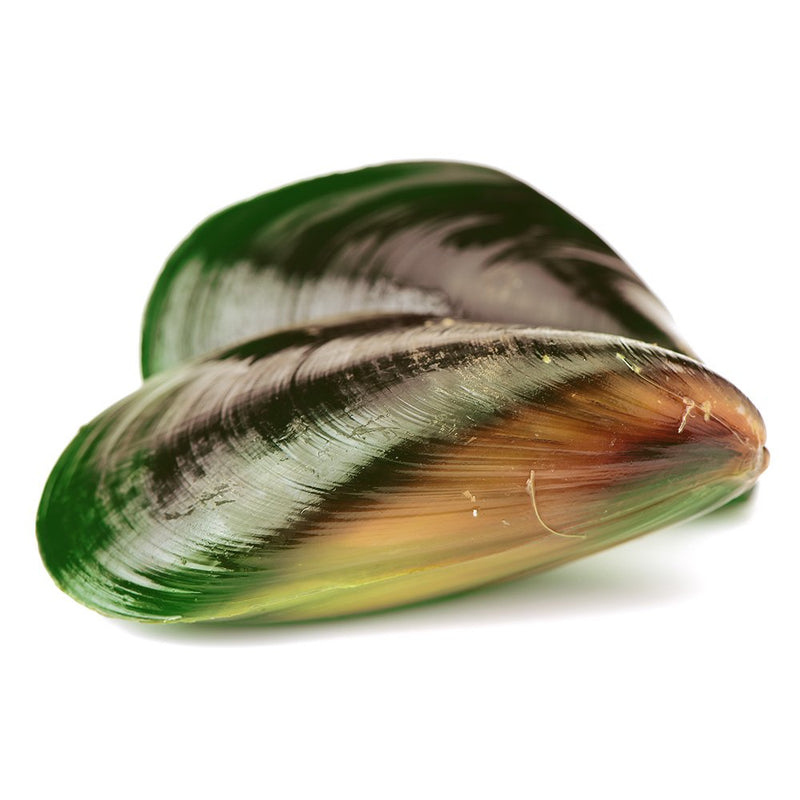 Green-lipped mussel, 500 mg, high-dose extract, 120 capsules - WITHOUT artificial additives. Without genetic technology. 120 pieces (pack of 1) - NewNest Australia