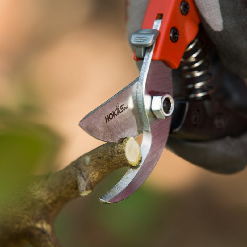 HOKAS S841 Heavy Duty Pruning Shears with Comfortable Leather Coating Handle, Sharp and Durable Tree Trimmers Secateurs - Ideal Branch,Hedge,Shrub/Bush,Flower/Plant Bypass Garden Clipper - NewNest Australia