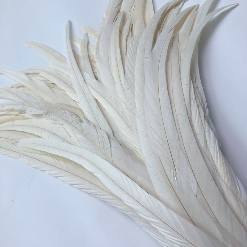 Shekyeon 12-14inch Rooster Tail Feather Used Hats Costume Decoration Pack of 50(Beige/Ivory) Beige/Ivory - NewNest Australia