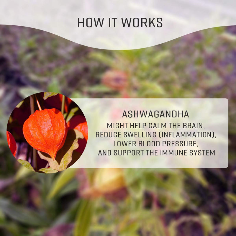 Ashwagandha Tincture - Organic Withania Somnifera Liquid Extract Promoting Stress Relief, Brain & Heart Function - Alcohol-Free Herbal Drops for Energy - Vegan, Non-GMO - 2 fl. Oz Bottle (2 FL OZ) 2 Fl Oz (Pack of 1) - NewNest Australia