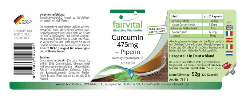Fairvital | Turmeric capsules - 500mg curcuma extract per capsule - HIGH DOSE - Curcumin 95% with bioperine (piperine) - 120 capsules - NewNest Australia