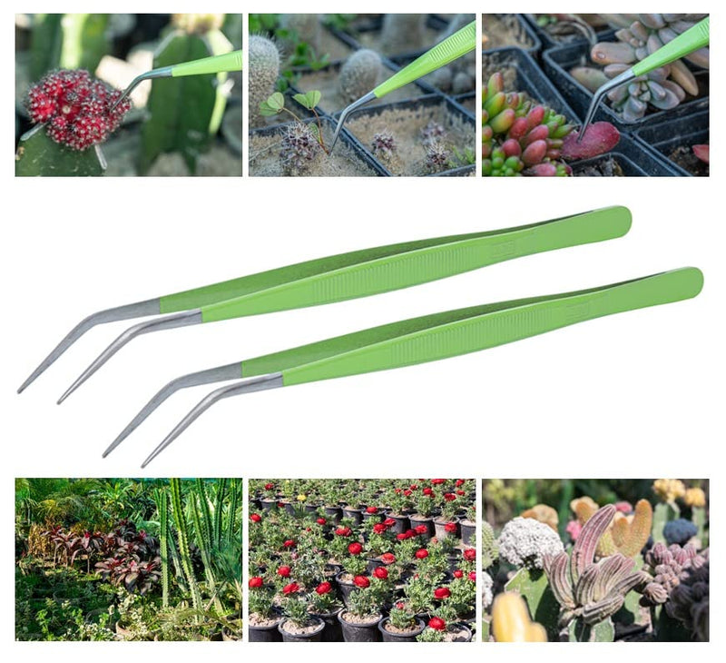 HADIZ Stainless Steel Garden Tweezer with Curved Tip Tweezers for Cactus and Succulents Gardening - NewNest Australia