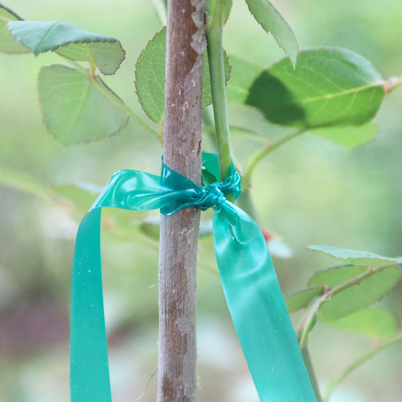 Easytle Stretch Tie Tape Roll, 1/2" 150ft Garden Tie Tape, Thick Sturdy Plant Ribbon Garden Green Vinyl Stake Gardening Tools for Indoor Outdoor Patio Plant Use - NewNest Australia