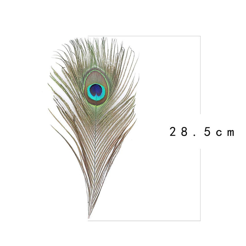 12 PCS Real Natural Peacock Eye Feathers 10-12 inch for DIY Craft, Wedding and Holiday Decorations 12 - NewNest Australia