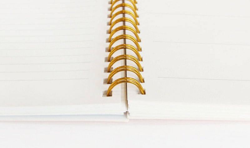 PAPERIAN Brilliant Monthly & Weekly Planner - Wirebound Undated Monthly &Weekly Planner Book Scheduler Diary (Grey Sky) Grey Sky - NewNest Australia