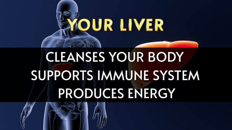 Liverite Liver Aid 120 Tablets, Liver Support, Liver Cleanse, Liver Care, Liver Function, Energy. - NewNest Australia