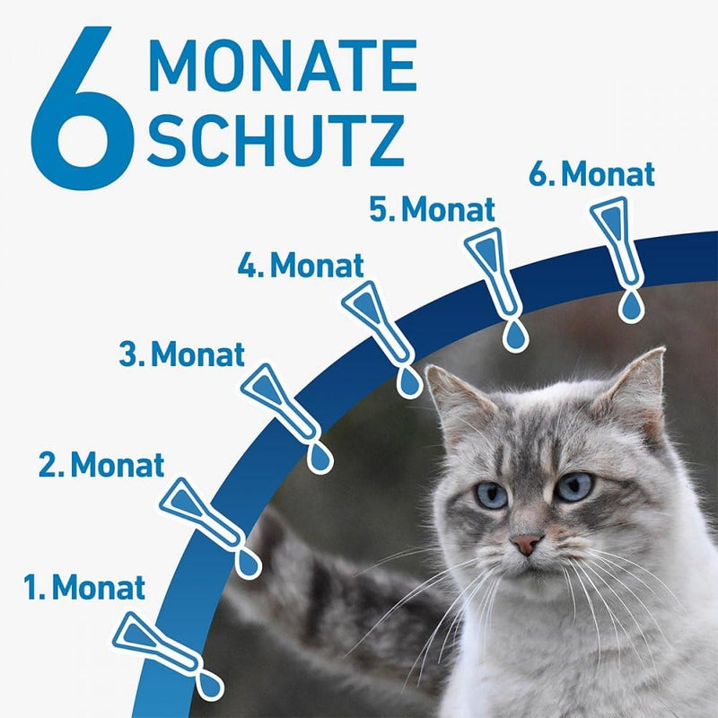 FRONTLINE SPOT ON against ticks and fleas for cats 6 pieces. - NewNest Australia