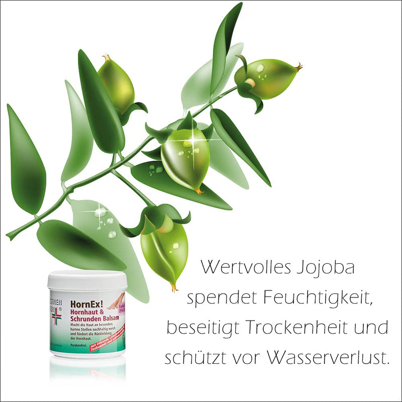 HornEx! Calluses & Cracks Balm with 25% Urea | 200ml | foot cream | reliably removes excess calluses | normalizes cracked, very dry heels |CristinenMoor - NewNest Australia