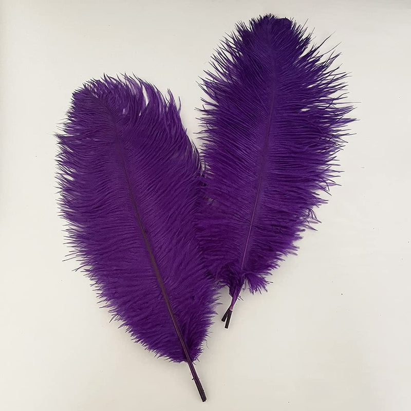 10pcs Natural Ostrich Feathers Plumes 14-16inch(35-40cm) for Craft Flower Arrangement ，Wedding Decoration and Halloween Party (Purple) purple - NewNest Australia
