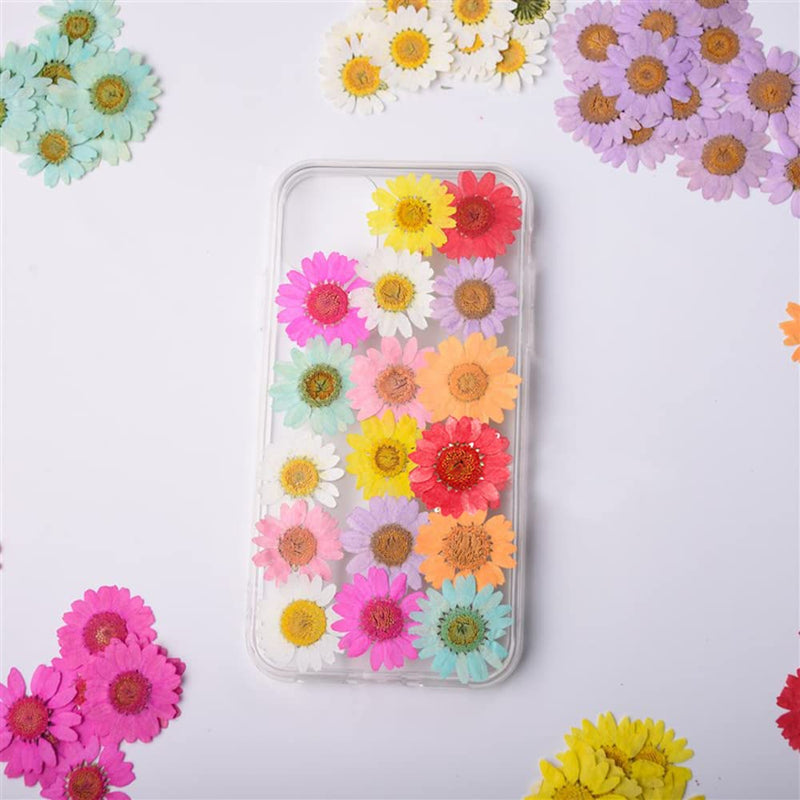 50pcs Natural Dried Daisy Flower, Vacuum Packaging, Pressed Flower for House Decoration, Jewelry Making, Phone case Decoration (Green) Green - NewNest Australia
