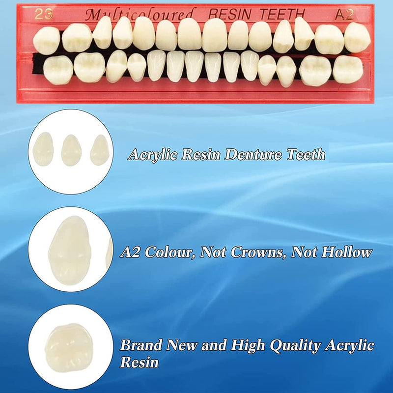 28PCS False Teeth,Acrylic Resin Fake Teeth Dental Denture Teeth Suitable for Teaching Tools DIY Props Halloween Makeup Cosplay Costume Party Ornament Supplies(23,A2) - NewNest Australia