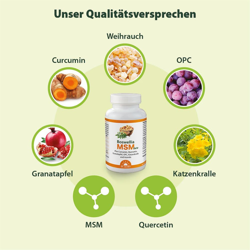 Boswellia MSM forte I frankincense, MSM (organic sulfur), cat's claw, curcumin, OPC, quercetin, pomegranate I for the immune system¹, mucous membranes and intestines² I 90 tablets, 30 servings I vegan - NewNest Australia