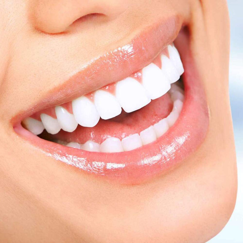 YanBan Oral Hygiene Standard Plastic Handle for Waterpik WP100 WP100e WP450 WP660 WP900, White - NewNest Australia