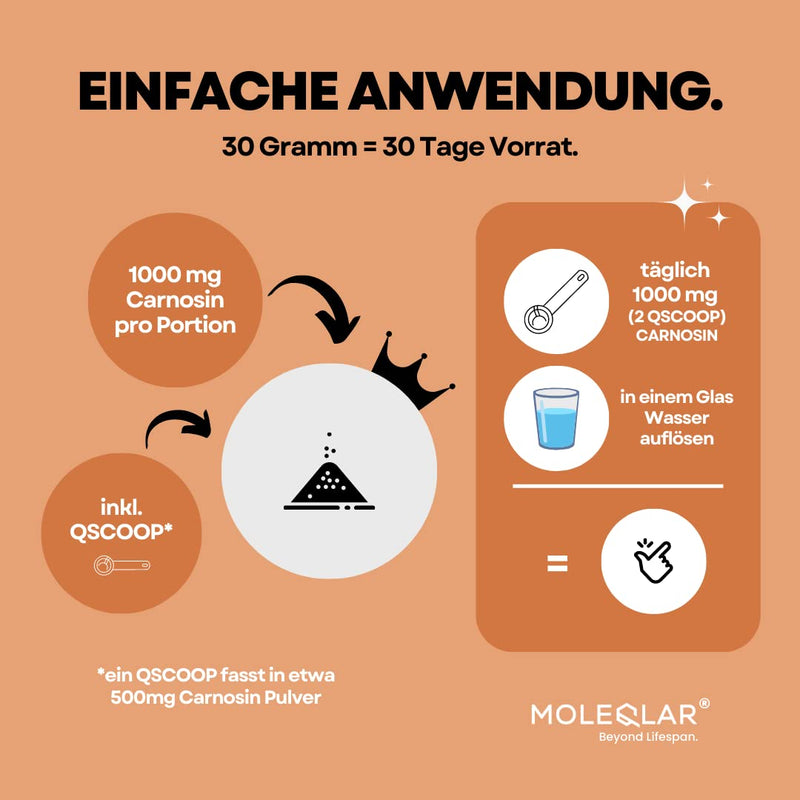 Moleqlar L-Carnosine Powder High Dosage | 30 Grams Of Pure Vegan Carnosine Powder | 1000 Mg L-Carnosine Per Serving | Against Age'S And Ale'S | Including Measuring Spoon | Certified Purity - NewNest Australia