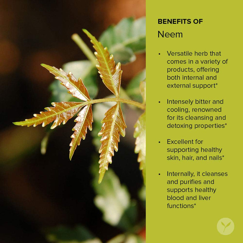 Banyan Botanicals Neem Powder - Organic Azadirachta Indica - Purifying Ayurvedic Herb for Healthy Skin & Blood* – 1/2 lb. – Fair Trade Sustainably Sourced Non-GMO Vegan - NewNest Australia