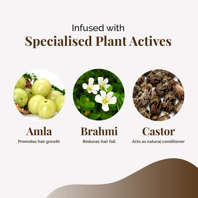 Life & Pursuits Amla Brahmi Hair Oil for Hair Growth - 100 ml Natural & Organic Hair Oil with Coconut, Castor, and Sesame for Strong & Thick Hair (Packaging May Vary) 100 ml (Pack of 1) - NewNest Australia