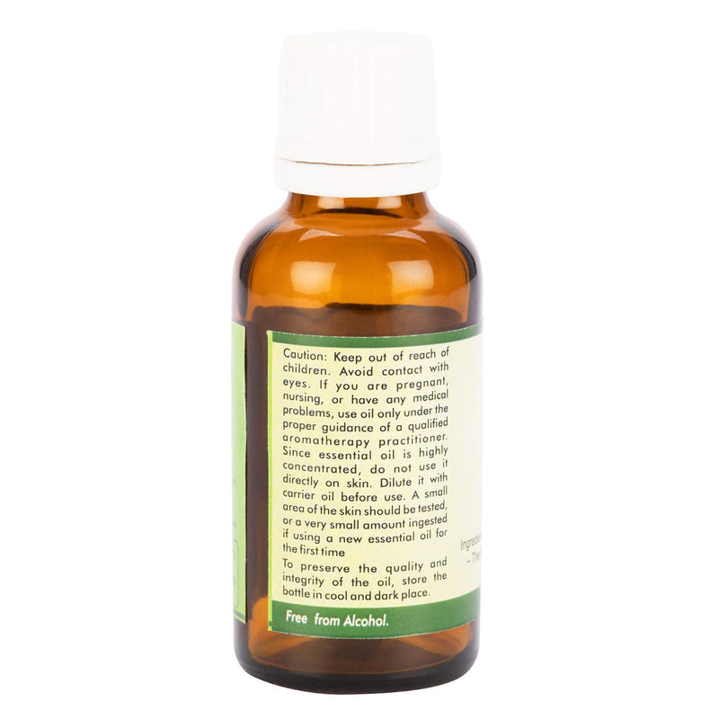 Rv Essential Pure Bay Laurel Leaf Essential Oil 15 Ml (0.507 Ounces) - Laurus Nobilis (100% Pure And Natural Steam Distilled) Pure Bay Laurel Leaf Essential Oil - NewNest Australia