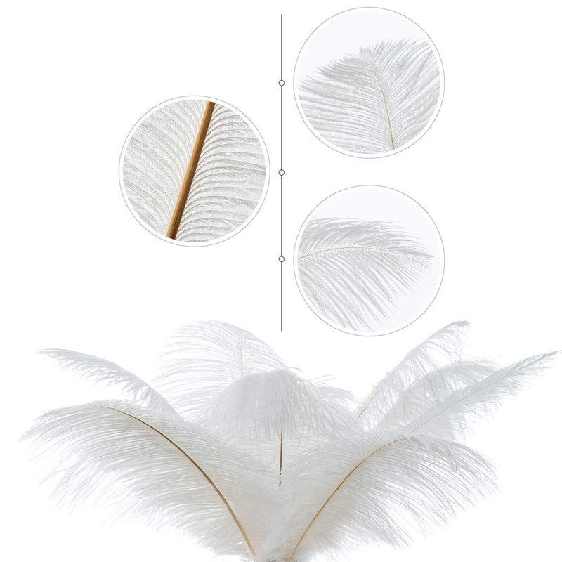 16-18 inches (40~45cm) Real Natural Ostrich Feathers Bulk White,Great Decorations for Christmas Halloween Home Party Wedding Centerpieces (10) White 10pcs - NewNest Australia