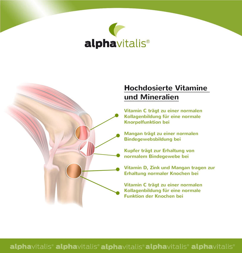 Glucosamine + Chondroitin Complex With Hyaluronic Acid, Msm, Zinc, Manganese - Vegan - 240 Capsules Without Magnesium Stearate - Joint Capsules From Alphavitalis - NewNest Australia
