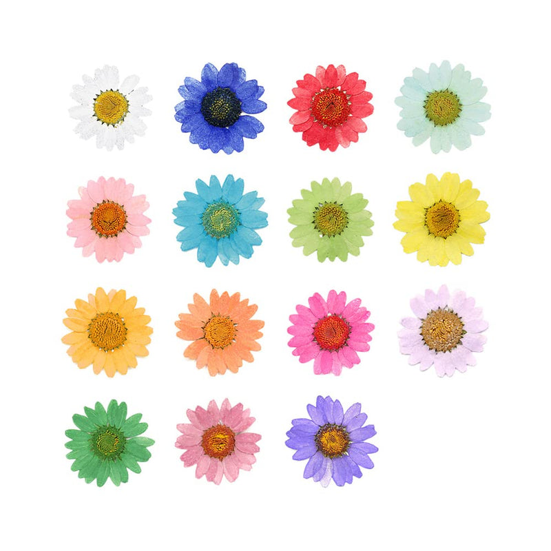 50pcs Natural Dried Daisy Flower, Vacuum Packaging, Pressed Flower for House Decoration, Jewelry Making, Phone case Decoration (Green) Green - NewNest Australia