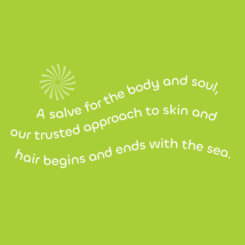 Seaweed Bath Co. Gloss Shampoo, Sea Salt Bergamot Scent, 12 Ounce, Sustainably Harvested Seaweed, Awapuhi, Lactic Acid, For All Hair Types - NewNest Australia
