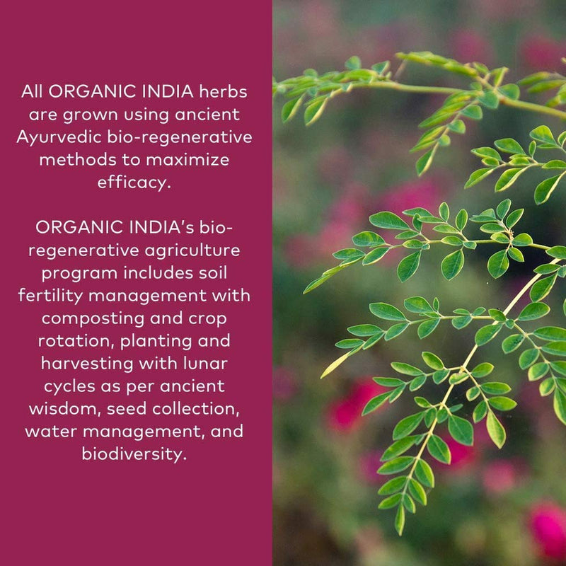 Organic India Ashwagandha Powder - Stress-Relief, Vegan, Gluten-Free, Kosher, USDA Certified Organic, Non-GMO, Uplift Mood, Supports Endurance, Herbal Supplement - 1 Lb Bag 1 Pound (Pack of 1) - NewNest Australia