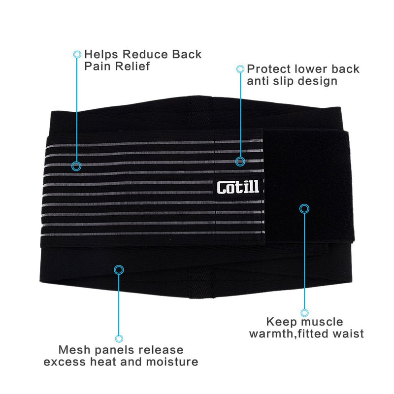 Cotill Lower Back Support Belt - Lumbar Brace for Pain Relief and Injury Prevention Dual Adjustable Straps Breathable Mesh Panels (L/XL Waist 83cm to 109cm) L/XL (Pack of 1) - NewNest Australia