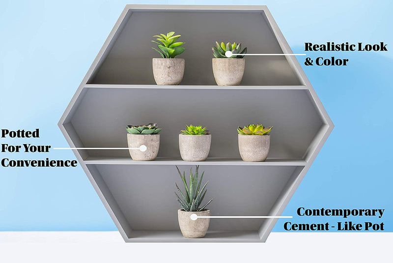 NewNest Australia - 6 Pots Small Artificial Succulent Plants Mini Fake Faux Suculentas Pot For Shelf Kitchen Counter Office Decor Tiny Miniature Desk Plant Succulents Decoration Accessories Potted Plastic Cactus Aloe Green Succulents Without Box 