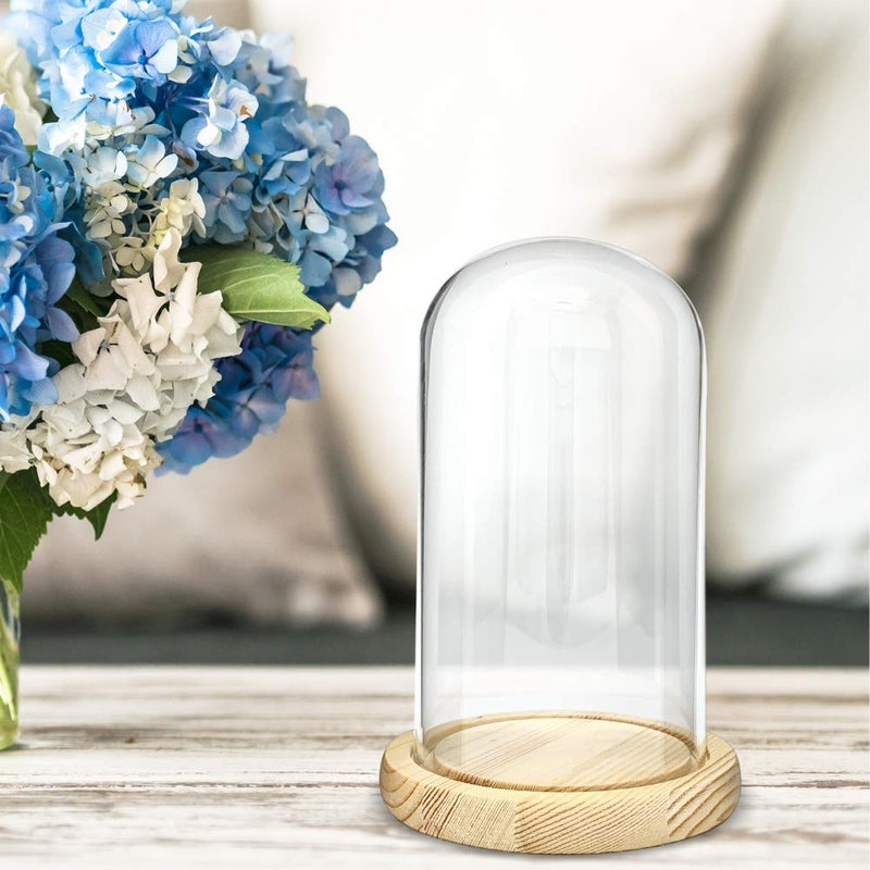 NewNest Australia - BANBERRY DESIGNS Protective Glass Display - Approx 7" X 4 3/4" inch Dome Cloche - Bell Jar Decorative Glass Cover with Natural Wood Base 