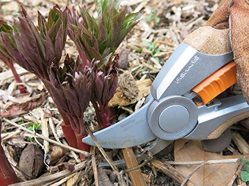 Fiskars Quantum Hand Pruner - NewNest Australia