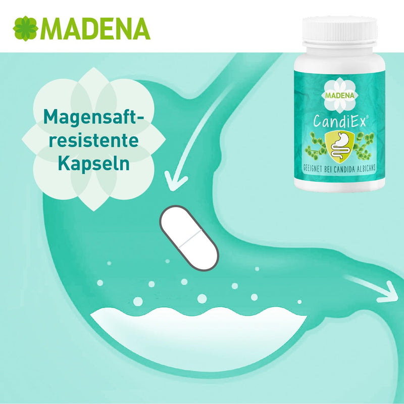 Madena Candiex, 20 Billion Lactobacilli And Bifidobacteria Per Daily Dosage, For Candida Albicans, 9 Different Bacterial Strains, With Organic Acacia Fibers And Resistant Starch Type 3 - NewNest Australia