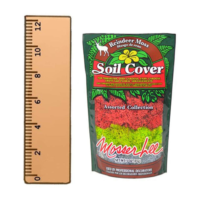 Mosser Lee ML3020 Assorted Reindeer Decorative Moss, 3 ounce - NewNest Australia