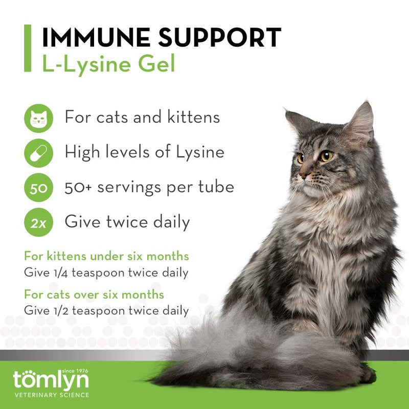 Tomlyn Immune Support Daily L-Lysine Supplement, Maple-Flavored Lysine Gel for Cats and Kittens, 3.5oz - NewNest Australia