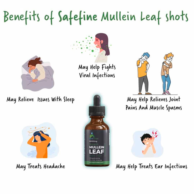 SafeFine Mullein Leaf Extract Drops - 1 Bottle of 60 ml - Alcohol Free & Vegan Formula -Plant Based - Gluten Free - Soy Free - Non GMO-for Respiratory, Immune Support & Natural Sleep Aid - NewNest Australia