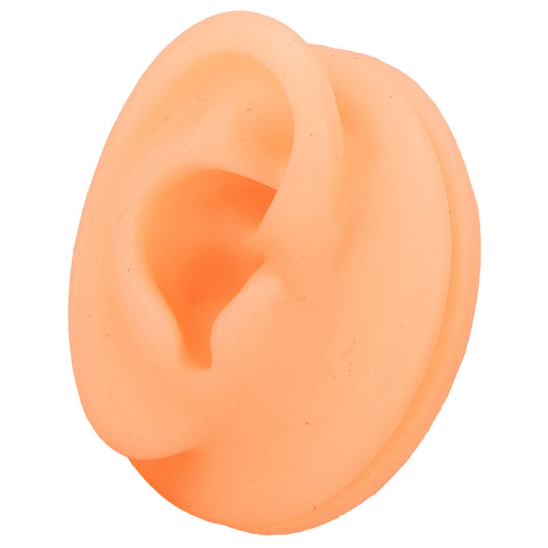 Zjchao Silicone Ear Acupuncture Practice Model Reusable Simulation Ear Display Model Fake Ear Model Piercing Practice Medical Teaching Display Props (Right Ear) - NewNest Australia