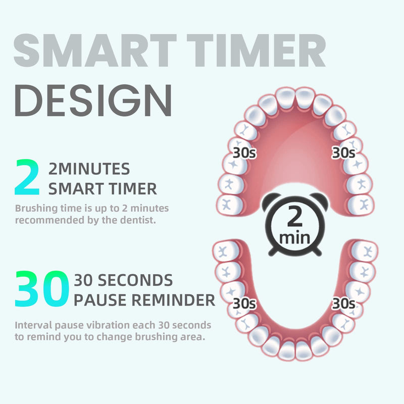 7AM2M Sonic Electric Toothbrush for Adults and Kids, One Charge for 90 Days, with 6 Brush Heads, 5 Modes with 2 Minutes Build in Smart Timer, Roman Column Handle Design(Purple) Purple - NewNest Australia