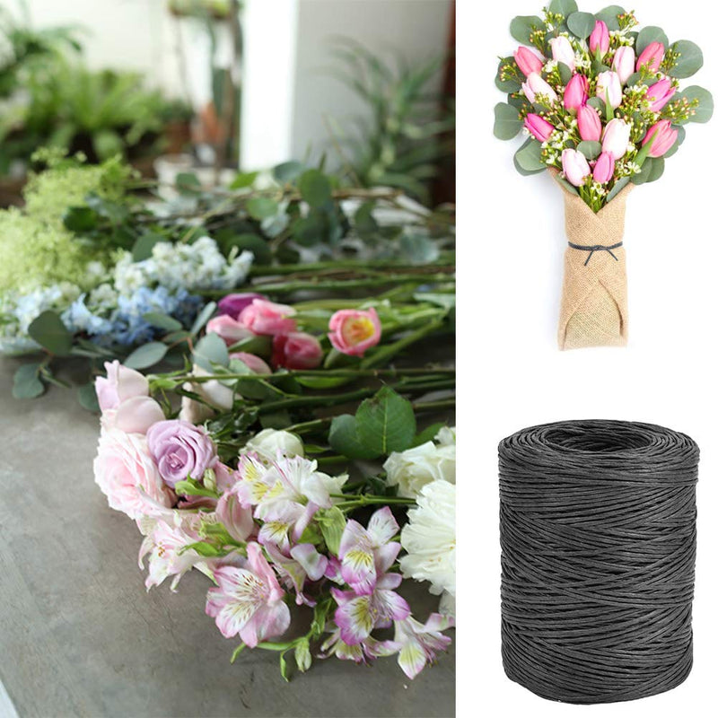 TIMESETL 656 Feet Floral Bind Wire Rustic Vine Wrapping Wire, Paper Covered Waterproof Craft Wrap Twine for Flower Bouquets Stem Wrap Florist (Black) Black - NewNest Australia