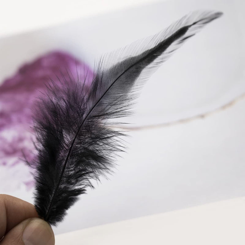 200pcs 5-7 Inches Saddle Hackle Black Rooster Feather for Crafts Natural Pheasant Neck Feathers DIY Pendant Earrings Dream Catcher - NewNest Australia
