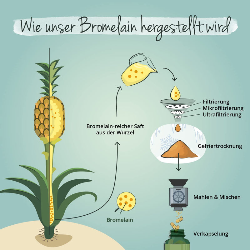 Natural Bromelain High Dose | Premium: 2400 Fip - 1200 Gdu | Enteric Juice-Resistant Drcaps | Laboratory Tested | Pineapple Enzymes | Vegan - No Additives | German Production Vegavero - NewNest Australia