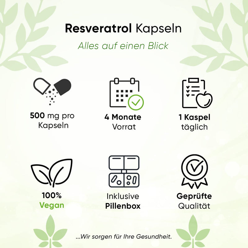 Biotary Resveratrol 120 Capsules 500 Mg, 4 Month Supply, Includes Pill Box, Laboratory Tested, Vegan, 98% Trans-Resveratrol From Japanese Knotweed Root Extract, No Magnesium Stearate - NewNest Australia