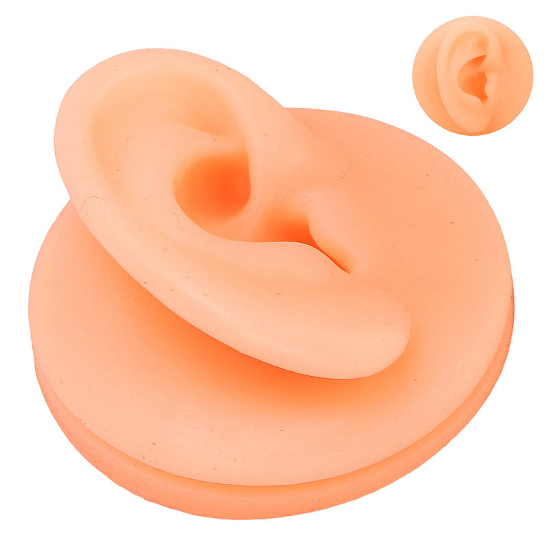 Zjchao Silicone Ear Acupuncture Practice Model Reusable Simulation Ear Display Model Fake Ear Model Piercing Practice Medical Teaching Display Props (Right Ear) - NewNest Australia