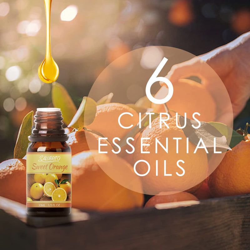 SALUBRITO Citrus Essential Oils Set, Premium Fragrance Oils for Diffusers and Home, Candle Making - Sweet Orange, Bergamot, Grapefruit, Mandarin, Lime, Lemon Essential Oil, 6x10ml - NewNest Australia