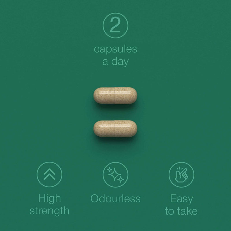 Green Lipped Mussel Capsules 1000mg - Pure New Zealand Green Lipped Mussel Powder for Humans & Dogs - 90 Tablets - High Strength Supplement 500mg per Capsule - Made in The UK - NewNest Australia