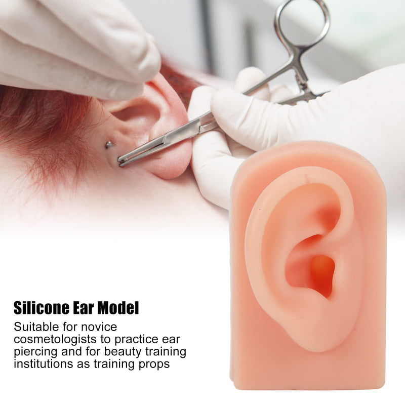 Silicone Ear Model, Soft, Flexible Right Model, Artificial Ear, Silicone Body Parts, Realistic Silicone Ear Shape For Piercing Exercises, Jewelry Display, Acupuncture (1#) - NewNest Australia