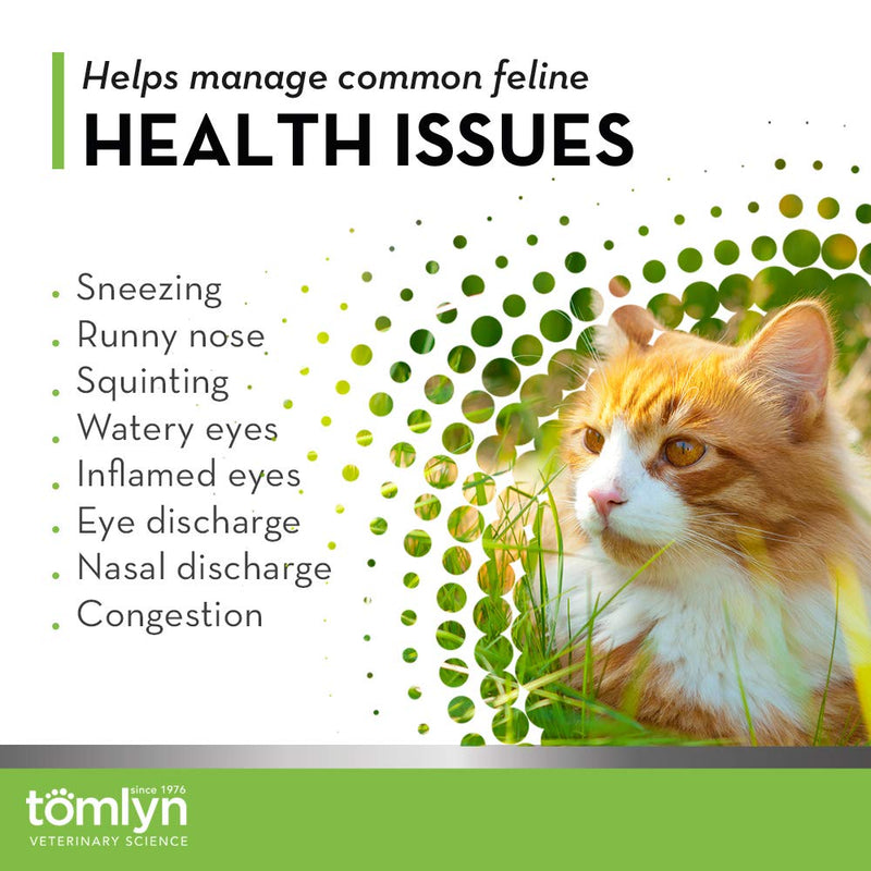 Tomlyn Immune Support Daily L-Lysine Supplement, Maple-Flavored Lysine Gel for Cats and Kittens, 3.5oz - NewNest Australia